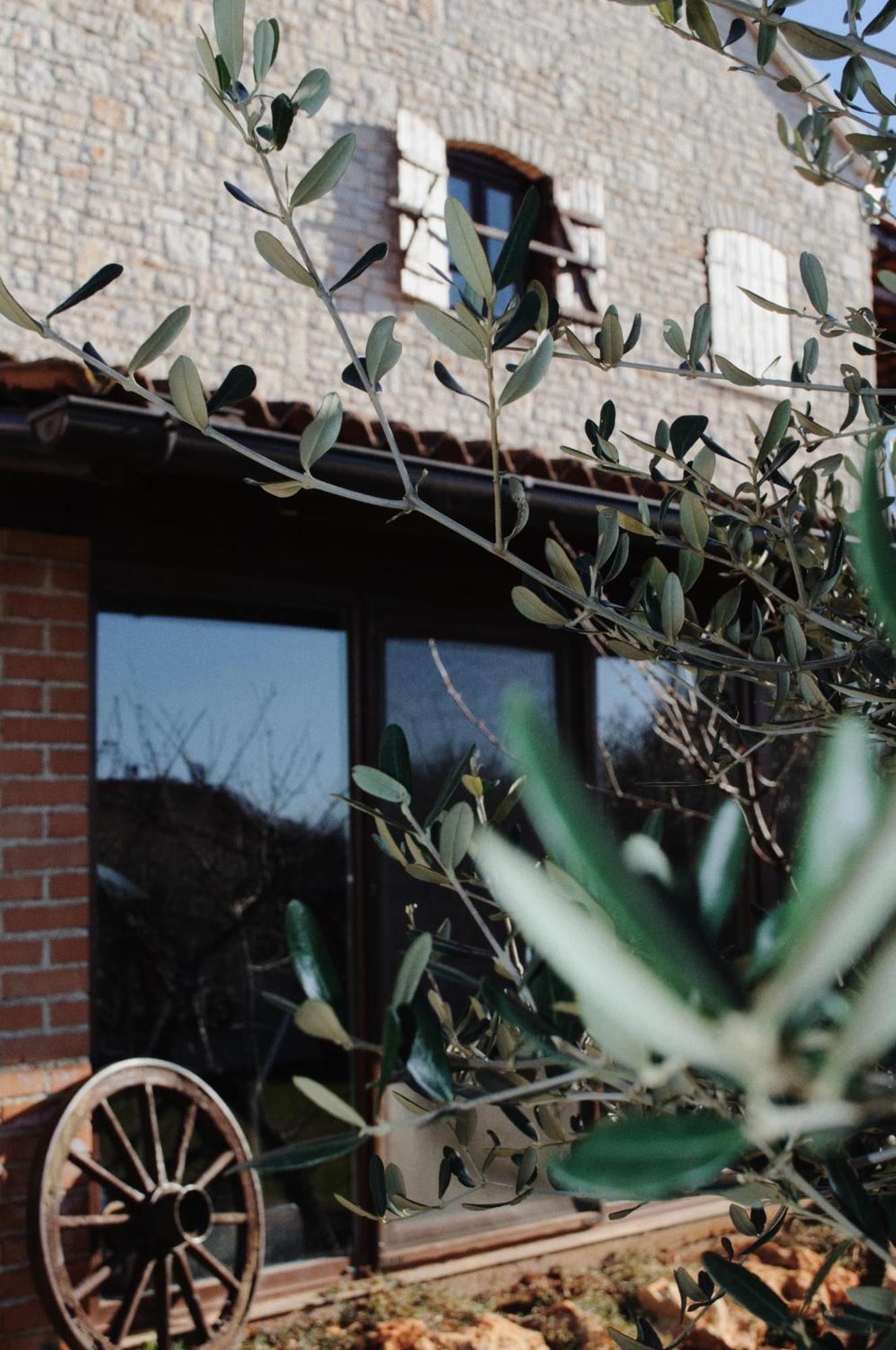 Apartments Oliva Fiorini Εξωτερικό φωτογραφία